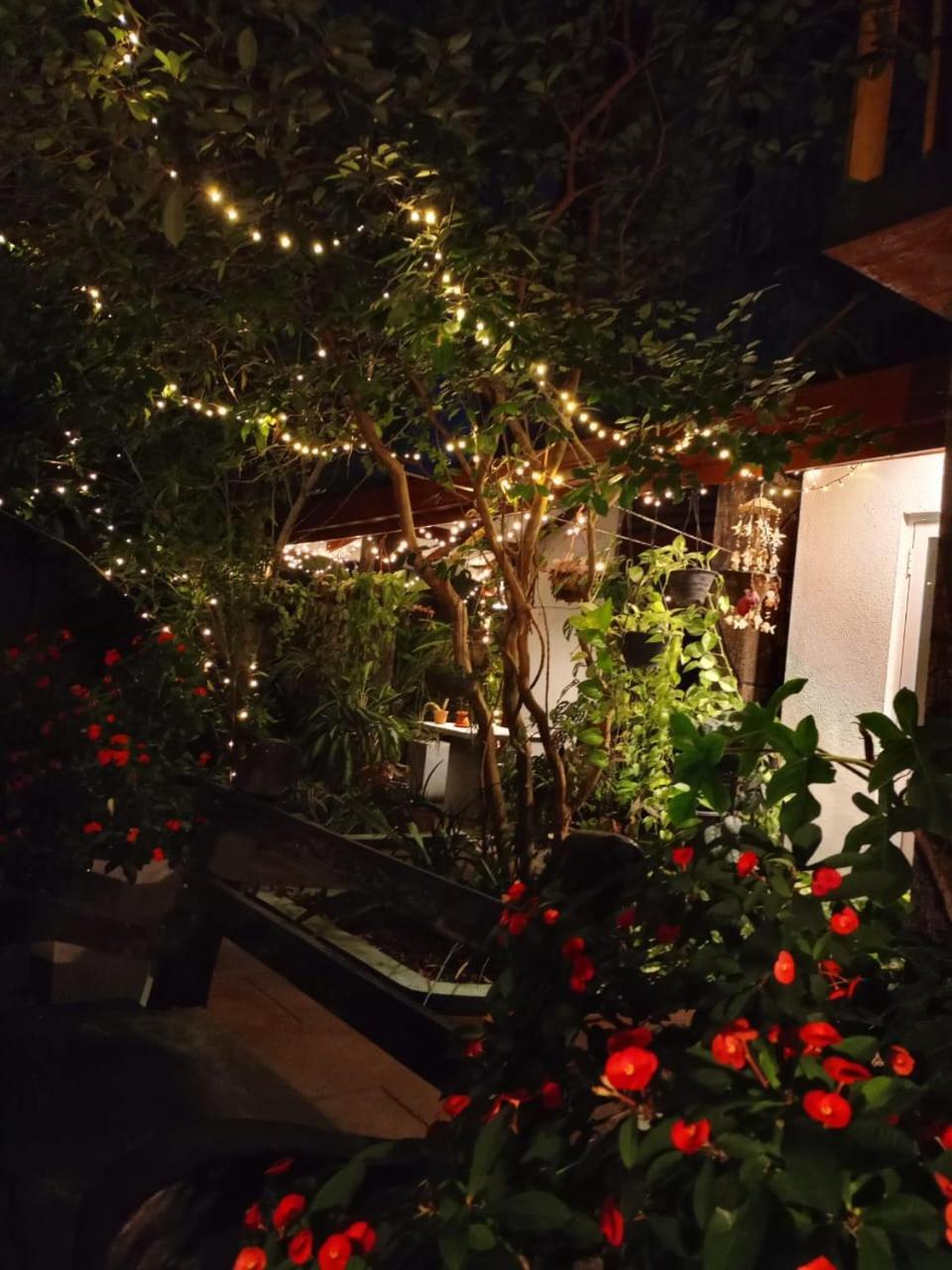Raj Mahal Inn ワドゥワ エクステリア 写真