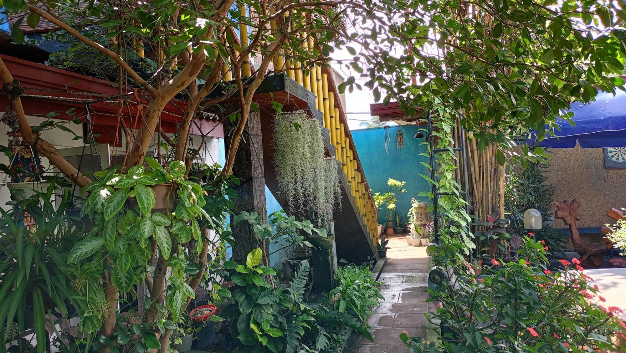 Raj Mahal Inn ワドゥワ エクステリア 写真